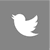 澳门新甫京娱乐游戏在线下载 Foundation Twitter graphic, opening 澳门新甫京娱乐游戏在线下载 Foundation Twitter page.